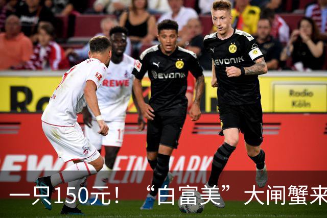 一只150元！“白富美”大闸蟹来了