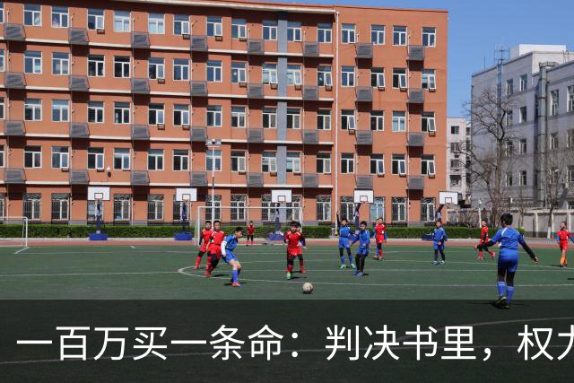 一百万买一条命：判决书里，权力最大的人被隐去了名字