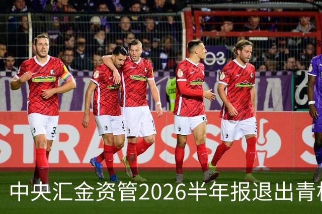 中央汇金资管2026半年报退出青松建化前十大股东名单！