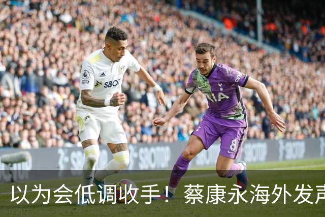 以为会低调收手！蔡康永海外发声亮明态度，早已不打算回头