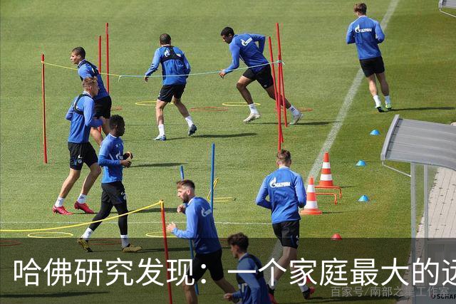 哈佛研究发现：一个家庭最大的远见，小学阶段陪孩子做这9件小事
