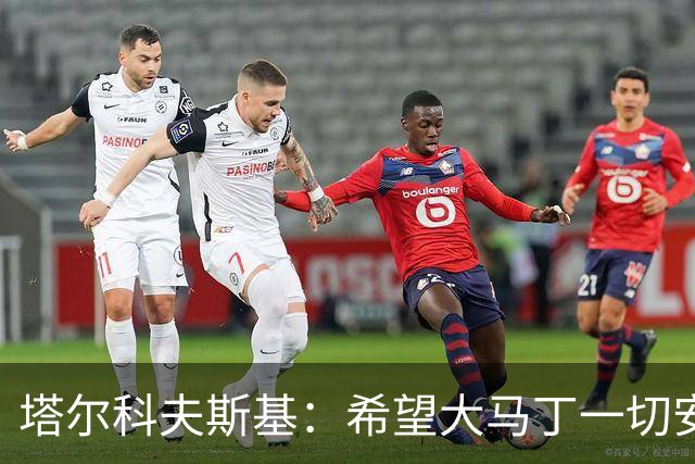 塔尔科夫斯基：希望大马丁一切安好，我当时并没有在要点球