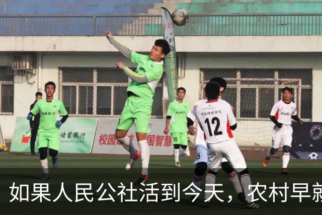 如果人民公社活到今天，农村早就不用振兴了？