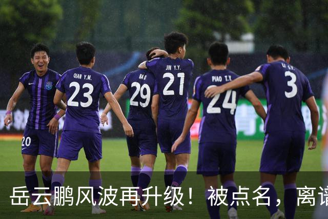 岳云鹏风波再升级！被点名，离谱的事出现 私生女传闻已水落石出