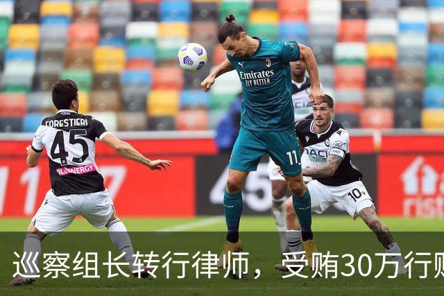 巡察组长转行律师，受贿30万行贿145万，被判4年半