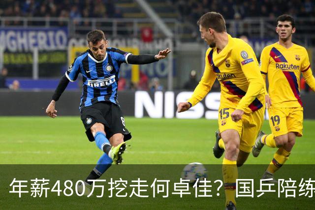 年薪480万挖走何卓佳？国乒陪练接连离队出走，原因很现实