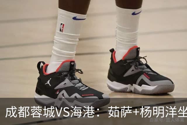 成都蓉城VS海港：茹萨+杨明洋坐镇，罗慕洛领衔，巴西锋霸出击
