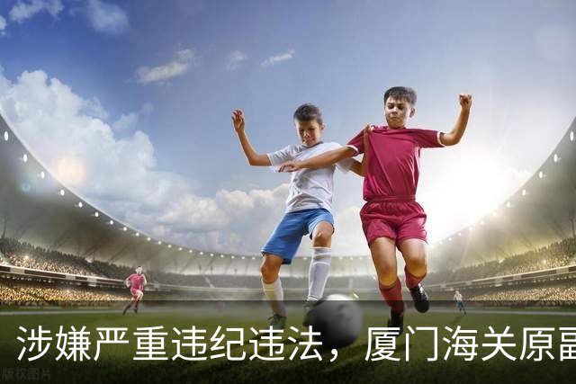 涉嫌严重违纪违法，厦门海关原副关长张跃彬被查