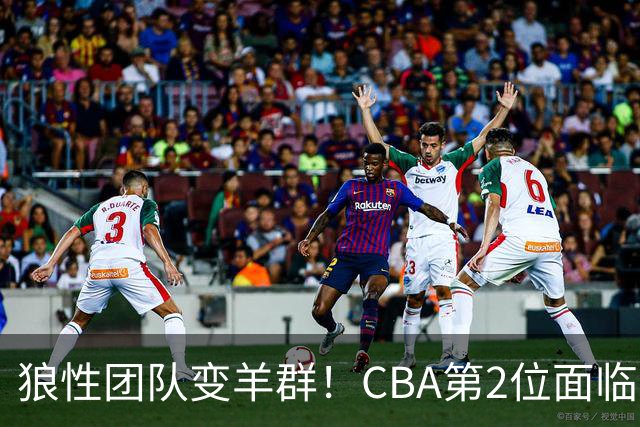 狼性团队变羊群！CBA第2位面临下课主帅曝光，发布会怒喷70%球员不在线，却说自己问心无愧！评论区一边倒