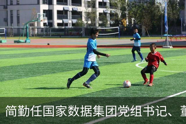 简勤任国家数据集团党组书记、董事长，陈荣辉任党组副书记、总经理