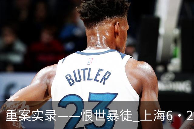 重案实录——恨世暴徒 上海6·28持刀砍杀小学生案纪实