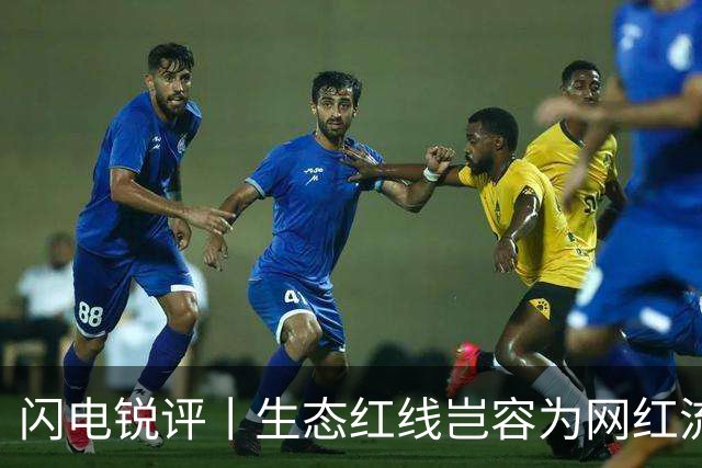 闪电锐评丨生态红线岂容为网红流量“开口子”