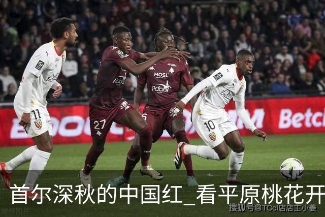 首尔深秋的中国红 看平原桃花开李小溪异国铁血鏖战