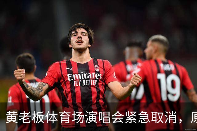黄老板体育场演唱会紧急取消，原因不是风波是天气