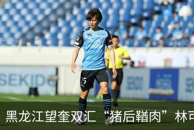 黑龙江望奎双汇“猪后鞧肉”林可霉素残留超标，双汇及其控股子公司被罚款近7000万元，双汇致歉：对现有食品安全管理体系进行全面整改完善