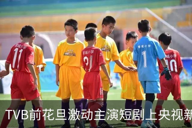 TVB前花旦激动主演短剧上央视新闻！力邀TVB前艺人参演，豪言打造成《爱回家》系列